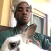 Profile Picture of BenjaminBlackman (@@theebenjaminblackman) on Tiktok