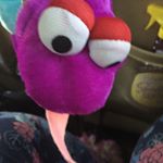 Lynn starkweather - Instagram Profile Picture of Lynn starkweather (@snake_lynn101) on Instagram