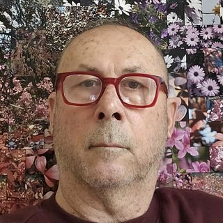 Profile Picture of Michele Bellamy Postiglione (@michele_mbp) on Instagram