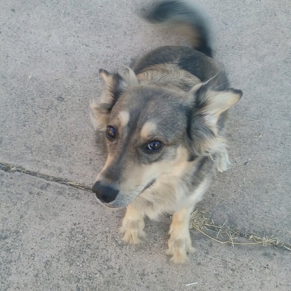 Profile Picture of Theresa Dugard (@theresa5757936) on Poshmark