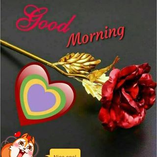 Profile Picture of Rohan Raju (@rohan.raju.7737) on Facebook