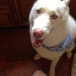 Profile Picture of Daphne Stone (@nicolestone229) on Instagram