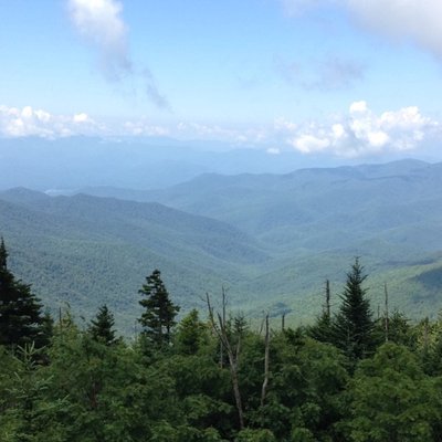 Profile Picture of Jaiden Hogan (@Jadehogan2001) on Twitter