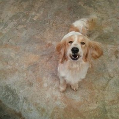 Profile Picture of Too Cool (@NjauTracy) on Twitter