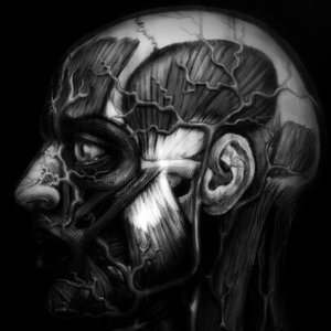 Profile Picture of Clint Robbins (@dozo705) on Myspace