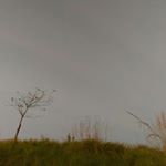 Profile Picture of James Legaspi (@legaspi51) on Instagram