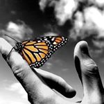 Profile Picture of Tracey Chinner (@traceyc65) on Instagram