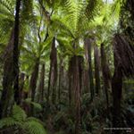 Profile Picture of James Taylor (@molchanovajvlasovilyax39) on Instagram