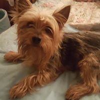 Profile Picture of Tana Daniels (@tana-daniels) on Quora