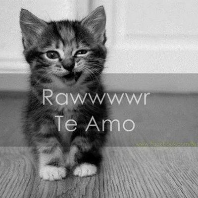 Profile Picture of Alexander Cardozo (@alex310110) on Twitter