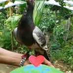 Profile Picture of Brenden Jono (@brenden.jono) on Facebook