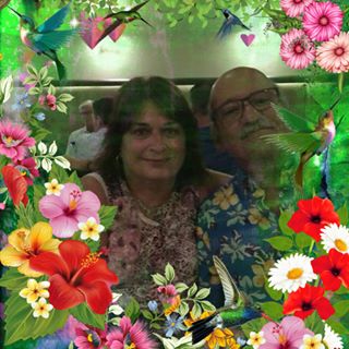 Profile Picture of Phyllis Ferraro (@phyllis.ferraro.59) on Facebook