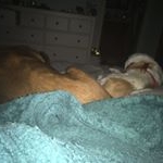 Profile Picture of charlie and denny foster (@charliedennyfoster) on Instagram