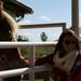 Profile Picture of Sarah Patnode (@sarahlpatnode) on Pinterest