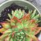 Profile Picture of Leone Page (@leone.page.71) on Facebook