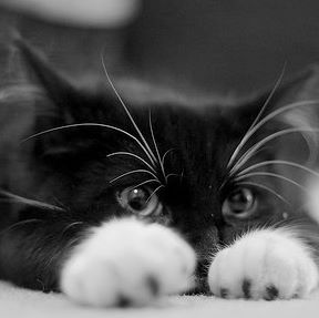 Profile Picture of Ray Diell (@rdiell) on Facebook