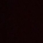 Profile Picture of Darcy Wallace (@darcyjwallace) on Instagram