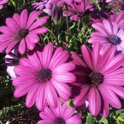 كريم بلال Krim Bilal - Twitter Profile Picture of كريم بلال Krim Bilal (@KimBill17) on Twitter