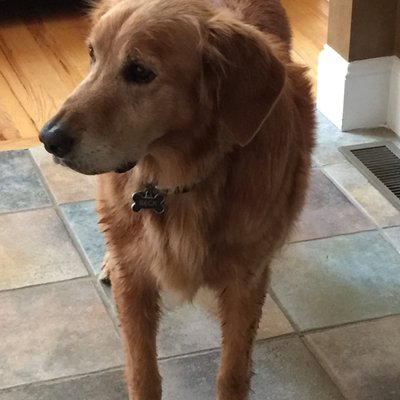 Profile Picture of Jarell Jones (@wmjarelljones) on Twitter