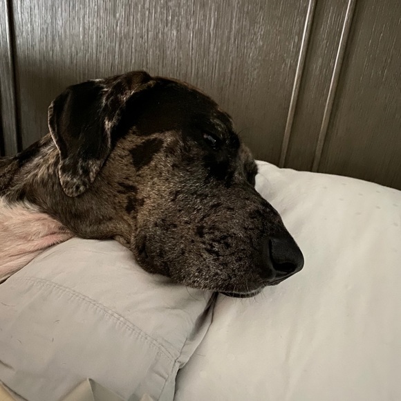 Profile Picture of Kim Marusiak (@kcm345) on Poshmark