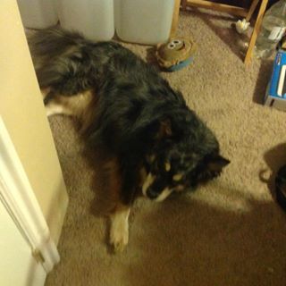 Profile Picture of Mike Poulsen (@mike.poulsen.1420) on Facebook