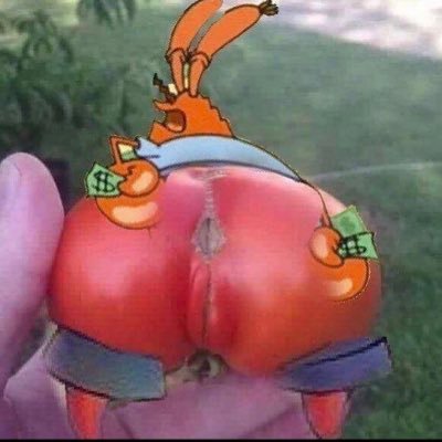 Profile Picture of Jacob Ladd (@Jacobladd17) on Twitter