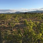 Profile Picture of Jim Knight (@jimpolestarfarm) on Instagram