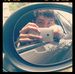 Profile Picture of Josh Lai (@josh.lai.52) on Facebook