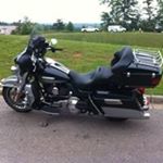 Profile Picture of Dusty Finch (@finchdusty) on Instagram