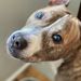 Profile Picture of Kevin Wilhelm (@kevin3857) on Pinterest