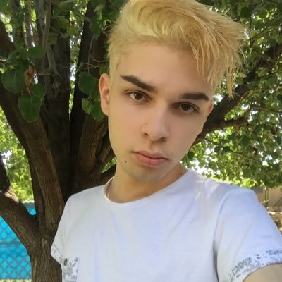 Profile Picture of Michael Ferruccio (@mmmichael_cx) on Twitter