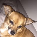 Profile Picture of Taylor Mosher (@taylor.mosher.5623) on Instagram