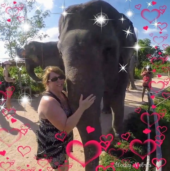 Profile Picture of Ann Wright (@anniewr) on Poshmark