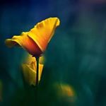 Profile Picture of Украшения • Одежда (@emeraldandlime) on Instagram