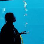 Profile Picture of Lily Liu (@lily_liu_____) on Instagram