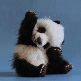 Profile Picture of Ben Apuan (@ApuanBen) on Twitter