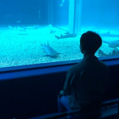 Profile Picture of 弾　Dan Ishikawa (@DaDaDaDa_DAN) on Twitter