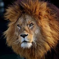 Profile Picture of Richard Laureigh (@richard-laureigh-1) on Quora