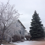 Profile Picture of Bari Boyd (@bari.boyd) on Flickr