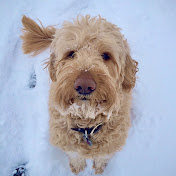 Profile Picture of John Schwartz (@johnschwartz4607) on Youtube