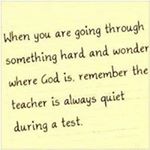 Profile Picture of Shawntel Williams (@shawntel.williams.988) on Instagram