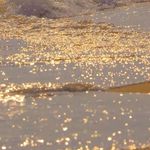 Profile Picture of RA Sherrii (@xinyure) on Instagram