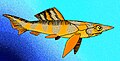 Profile Picture of Fallacosteuson Wikipedia