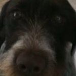 Profile Picture of Marilyn Hillert (@marilynhillert) on Instagram