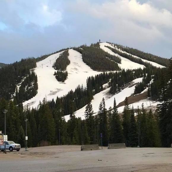 Profile Picture of Judy Hanawalt (@judyh007) on Poshmark