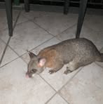 Profile Picture of Yufeng Zhang (@engyuf.angzh) on Facebook