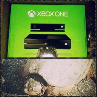 Profile Picture of Jamar Scott (@Hitdemfolksup) on Twitter