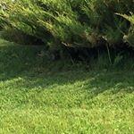 Profile Picture of Marilyn Catherine Boudreau (@marilyn.c.boudreau) on Instagram