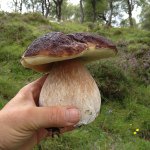 Profile Picture of Mark Francis (@markfrancis62) on Instagram