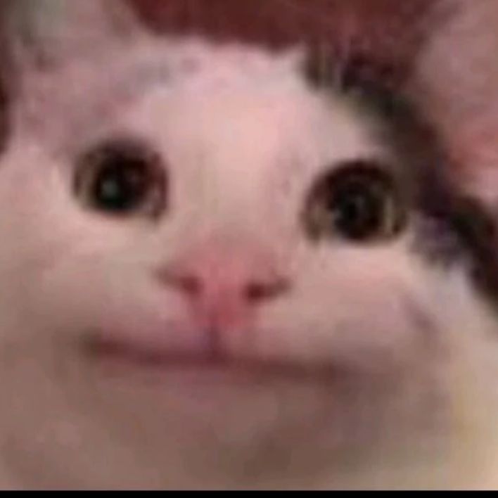 Profile Picture of andressprull (@andressprull) on Tiktok